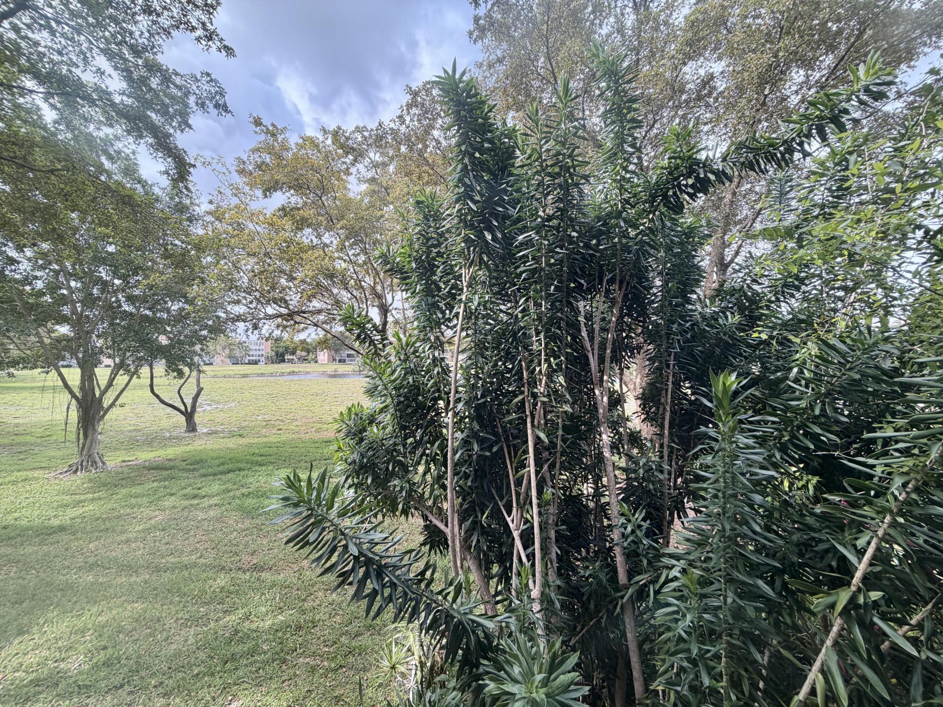 7320 Lake Cir Drive, Unit 204, Margate, FL 33063 Photo