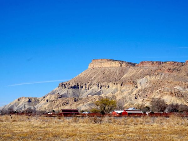 602 Elberta Avenue , Palisade, CO 81526