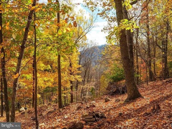 Lot 42 TREEHOUSE PLACE, NELLYSFORD, VA 22958