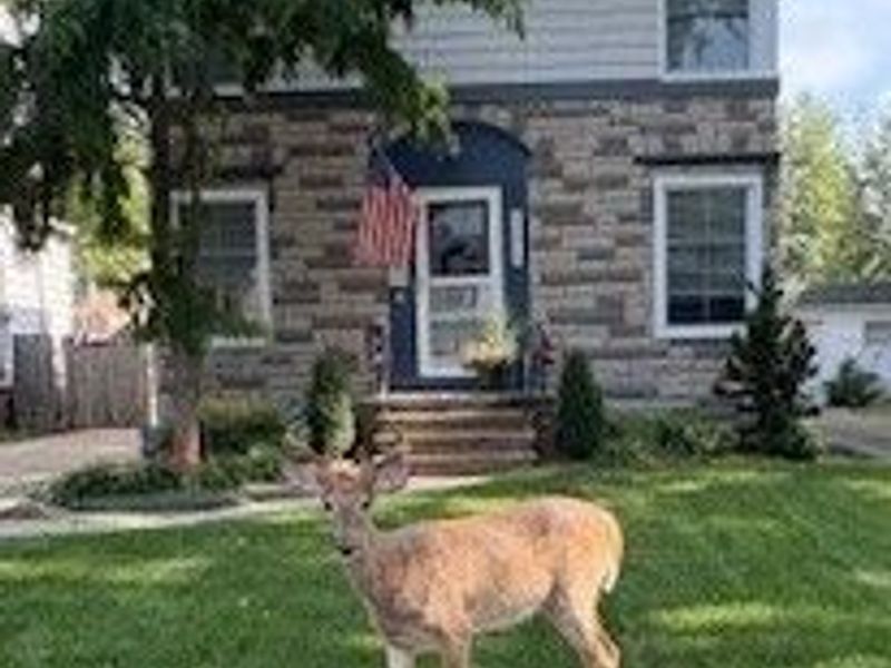 14414 Alger Road, Cleveland, OH 44111 Photo 33