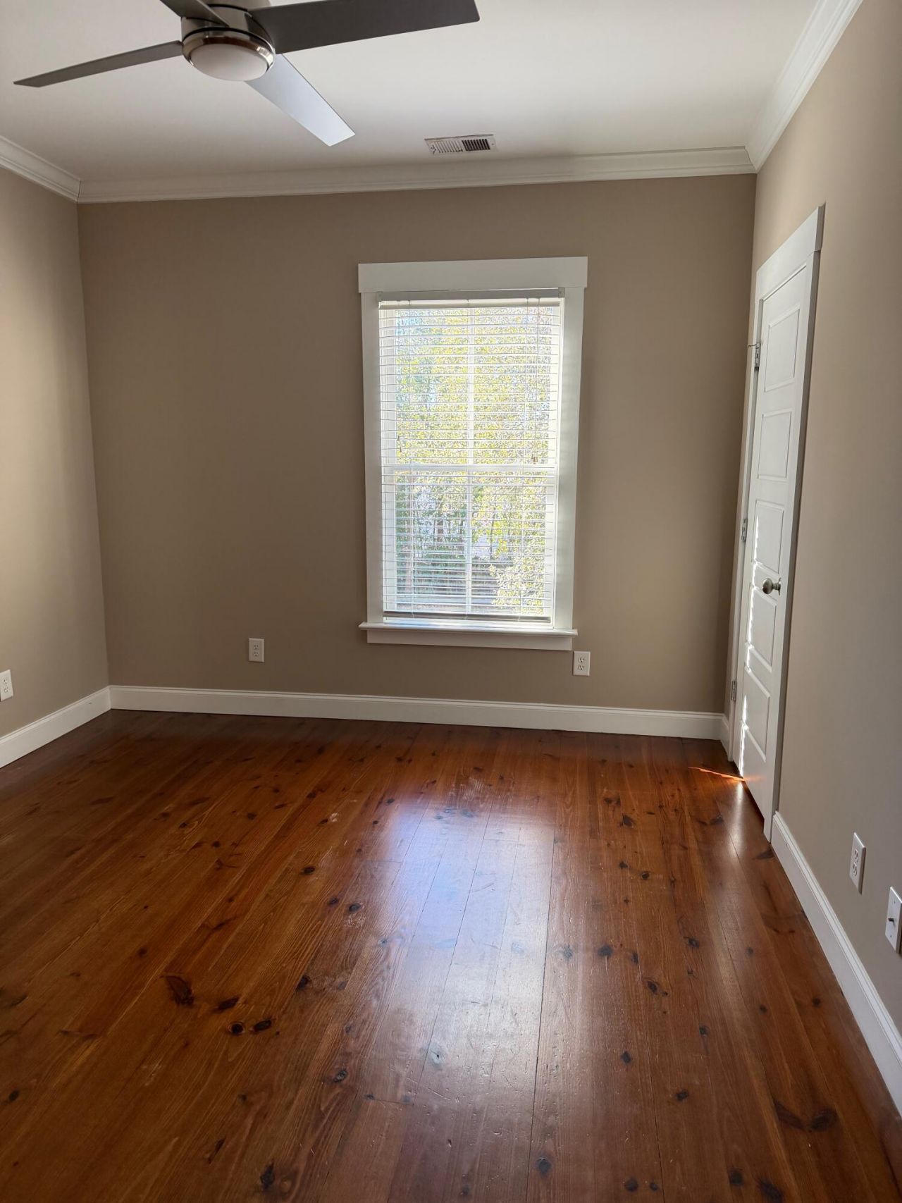 19 Engel Street Photo 12