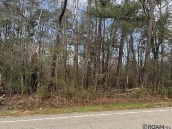 TBD Hwy 449 Highway, Pine Grove, LA 70453