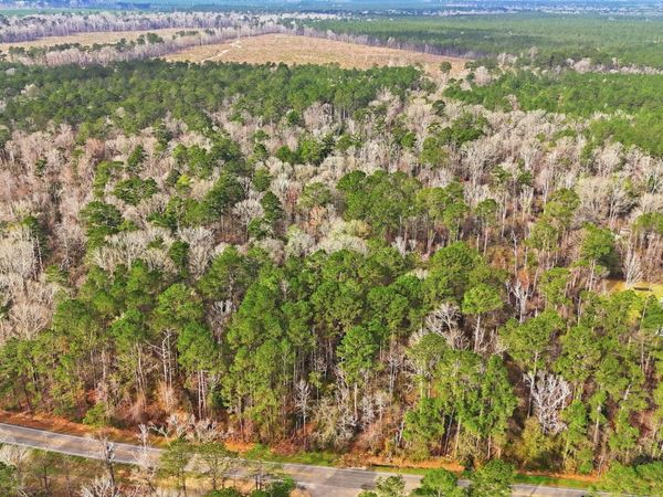 TBD Hwy 449 Highway, Pine Grove, LA 70453