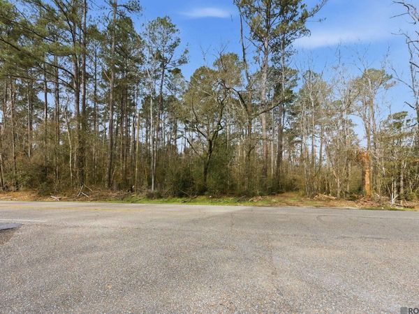 TBD Hwy 449 Highway, Pine Grove, LA 70453