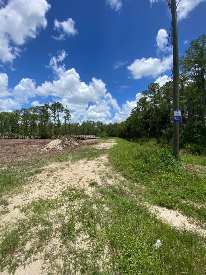 166 Ocean Park Dr , Lehigh Acres, FL 33972 Photo