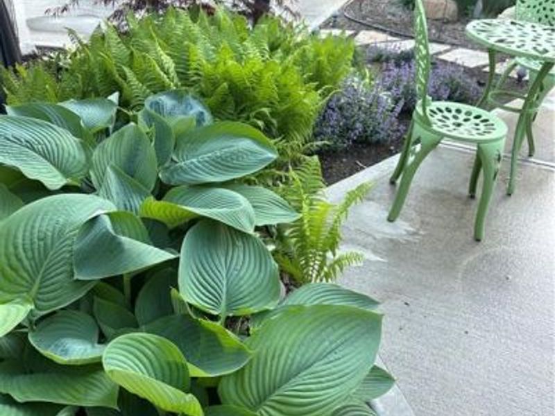 5217 Keener Road, Brookville, OH 45309 Photo 40