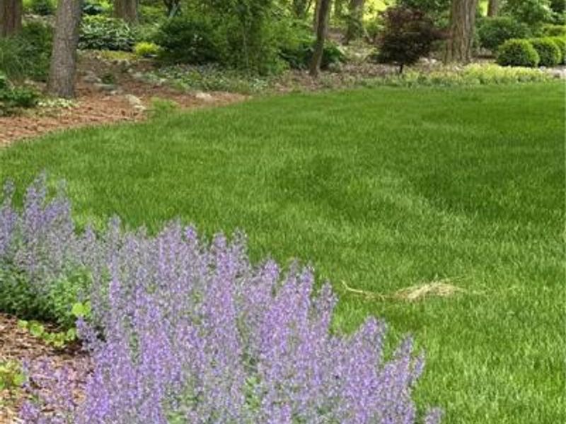 5217 Keener Road, Brookville, OH 45309 Photo 42