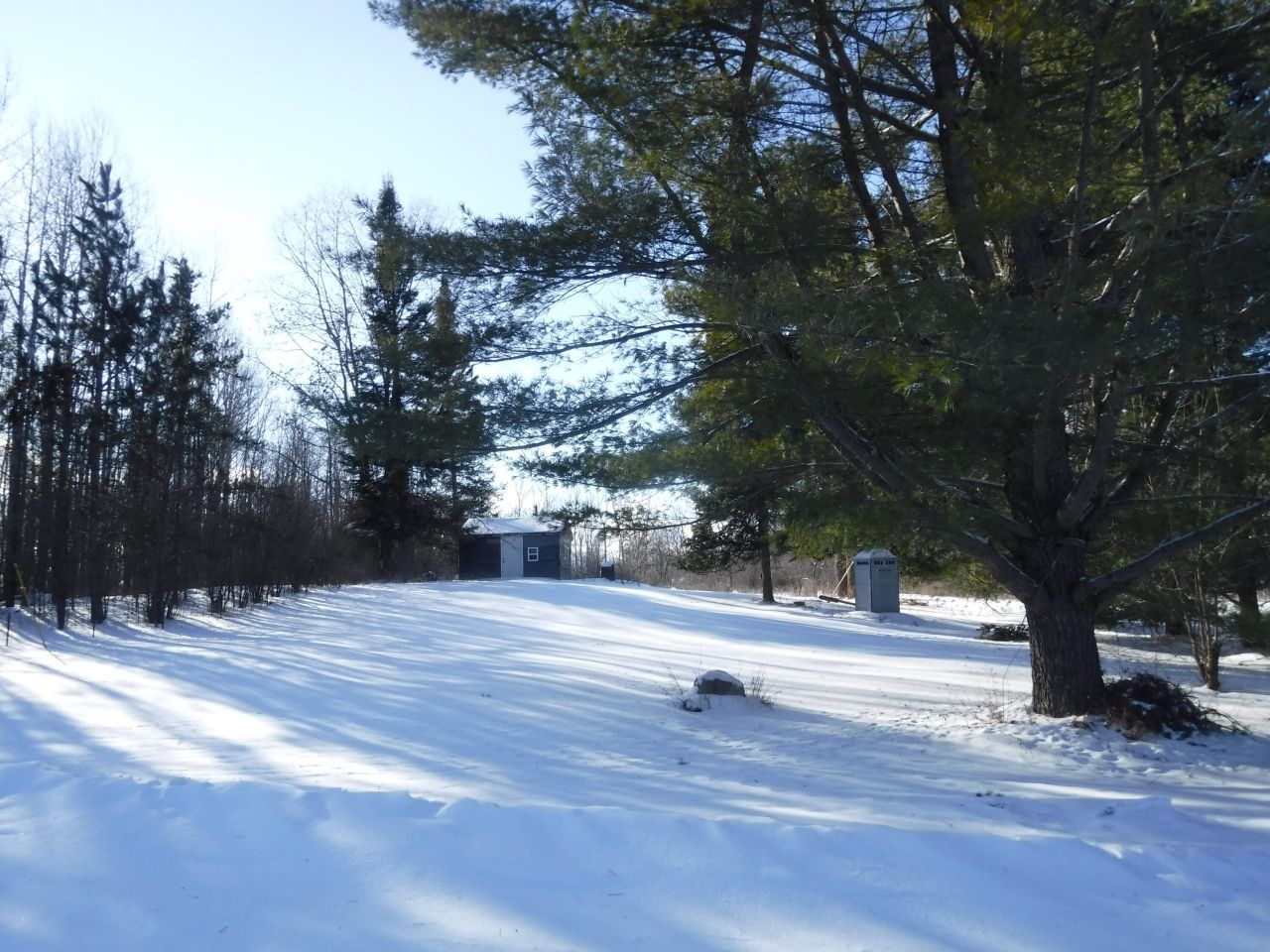 3084 Sylvan Street, South Branch, MI 48761 Main Photo