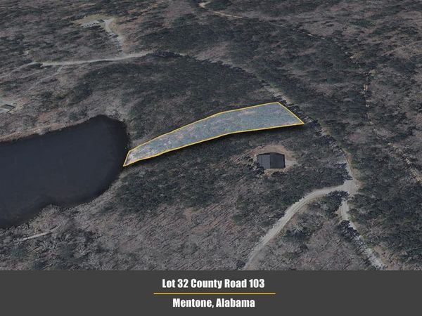 Lot 32 County Road 103, Mentone, AL 35984