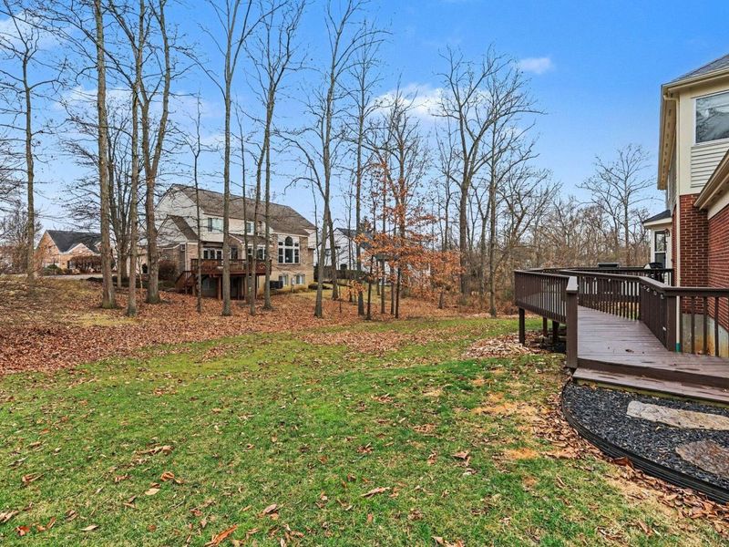 1095 Bold Forbes Court, Union, KY 41091 Photo 32