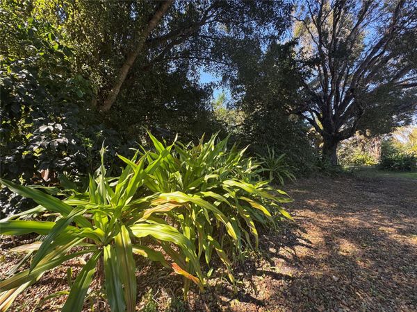 5911 SW 196th Ln, Southwest Ranches, FL 33332