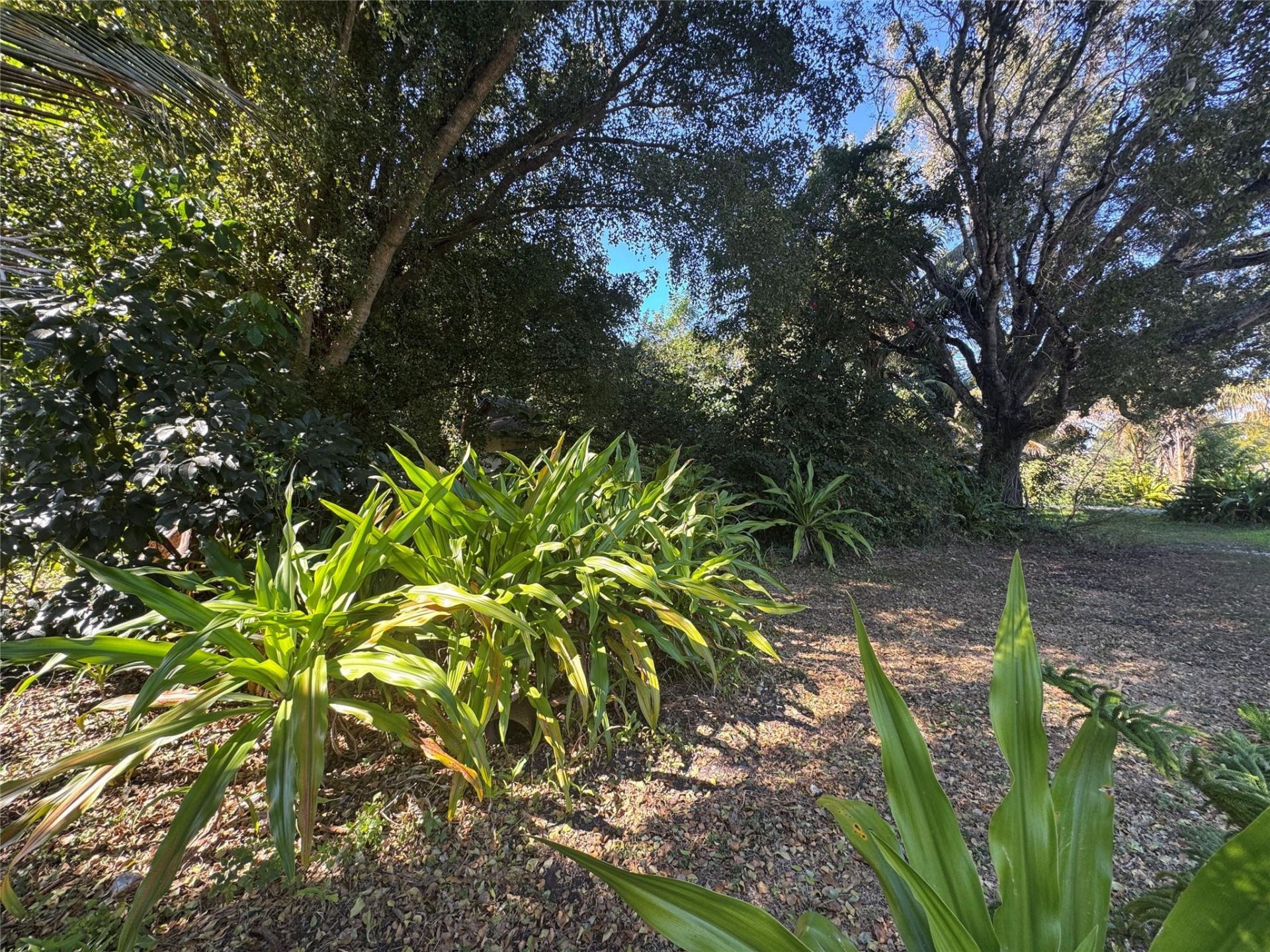 5911 SW 196th Lane, Southwest Ranches, FL 33332 Photo