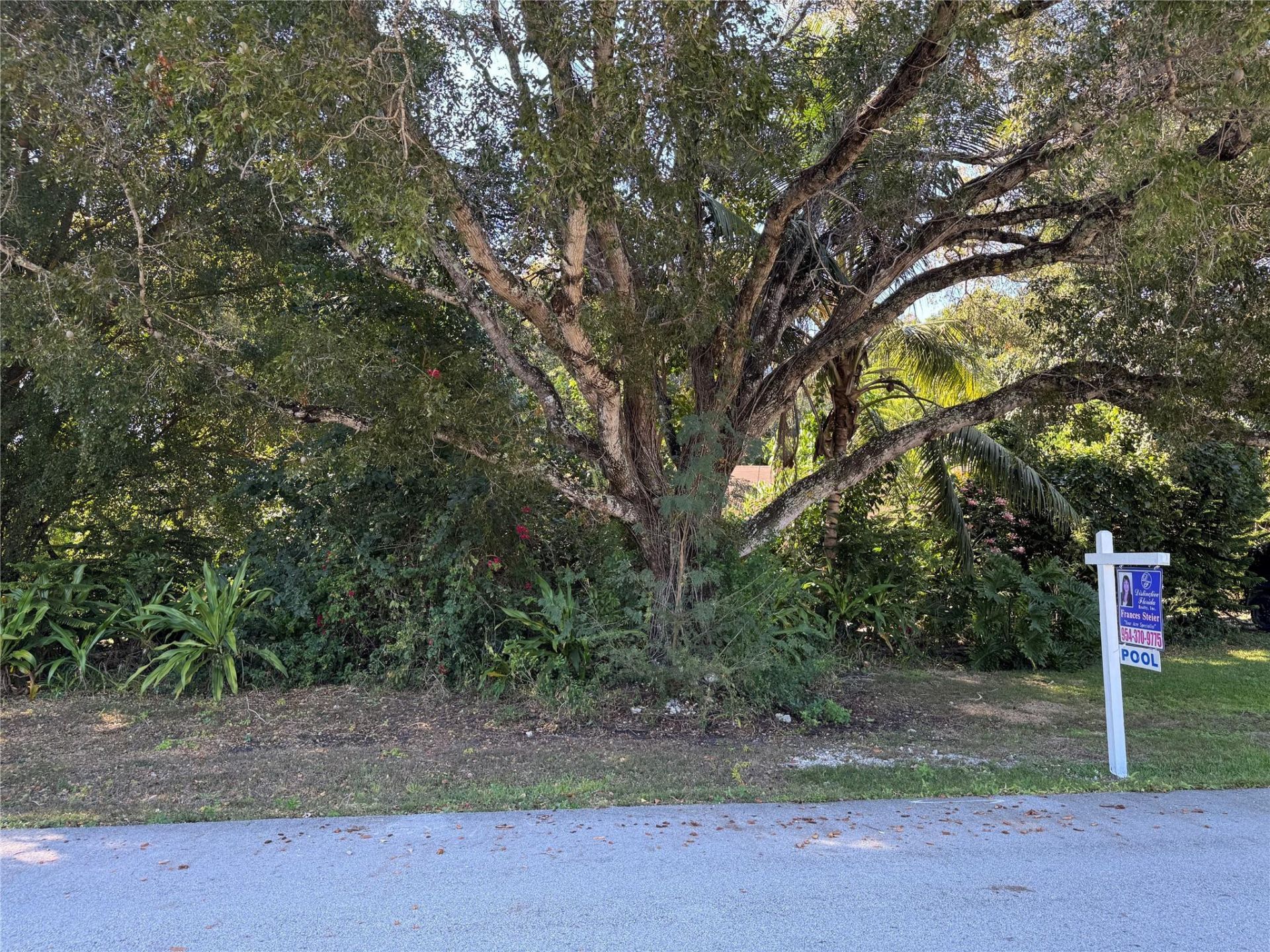 5911 SW 196th Lane, Southwest Ranches, FL 33332 Photo