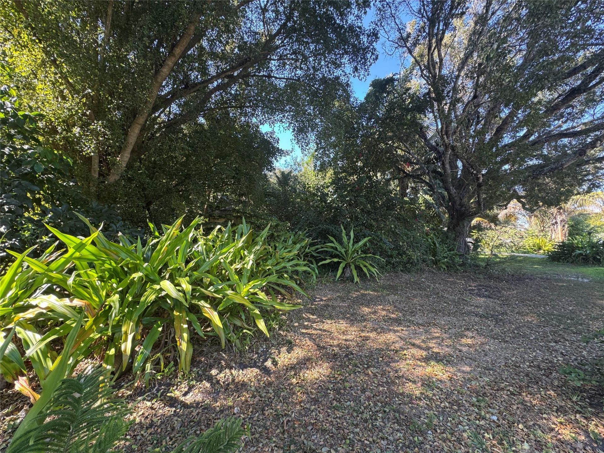 5911 SW 196th Lane, Southwest Ranches, FL 33332 Photo