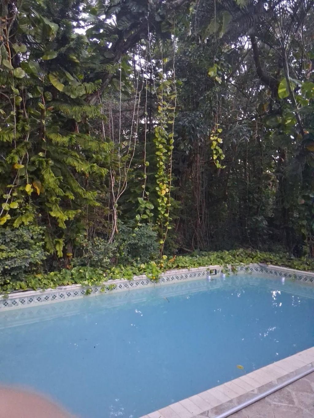 5911 SW 196th Lane, Southwest Ranches, FL 33332 Photo