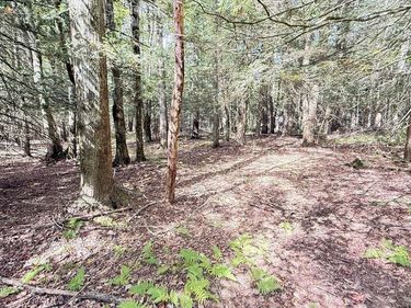 211 AQUARIS LN, LAKE ARIEL, PA 18436