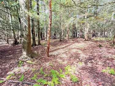 212 AQUARIS LN, LAKE ARIEL, PA 18436