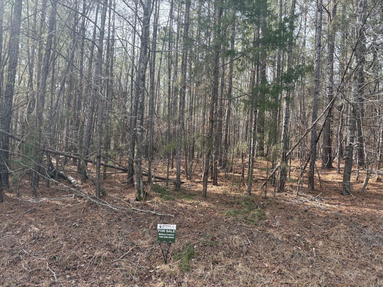 Block 72 Lot 12, Mccormick, SC 29835 Main Photo