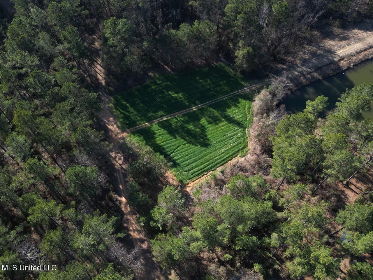 2015 Forest Road, Hazlehurst, MS 39083 Main Photo