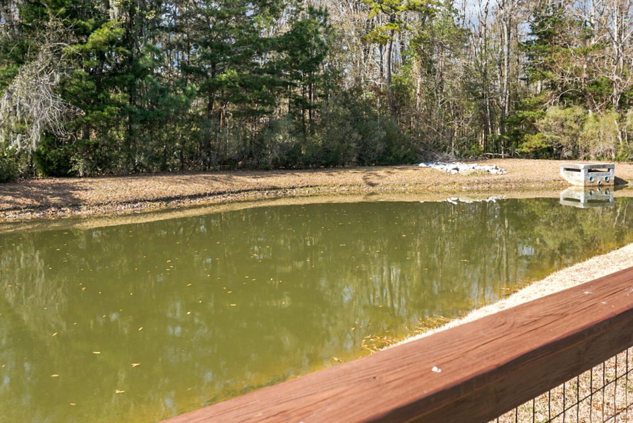 839 Hunt Club Run Photo 66