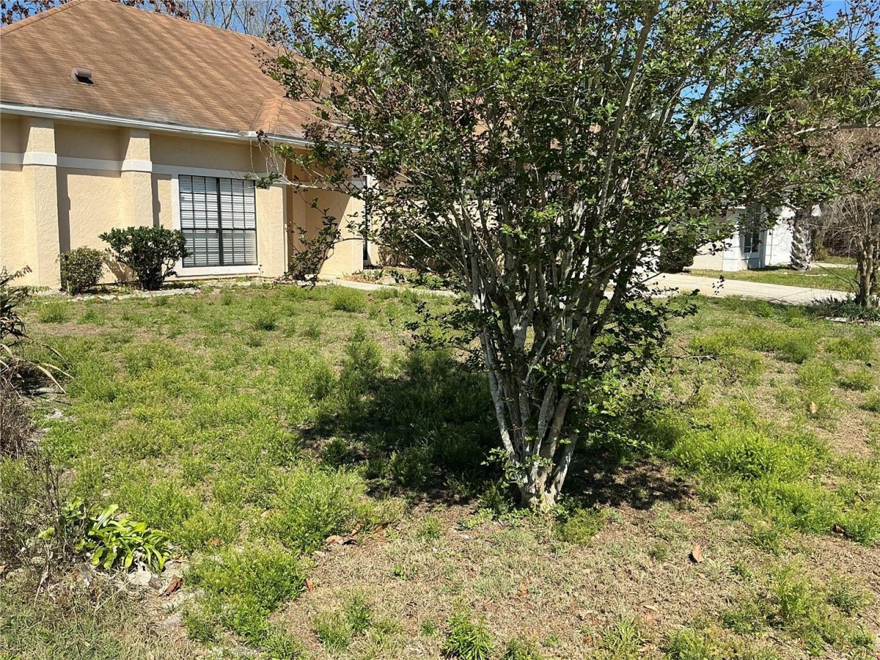 1009 Corkwood Drive, Oviedo, FL 32765 Photo