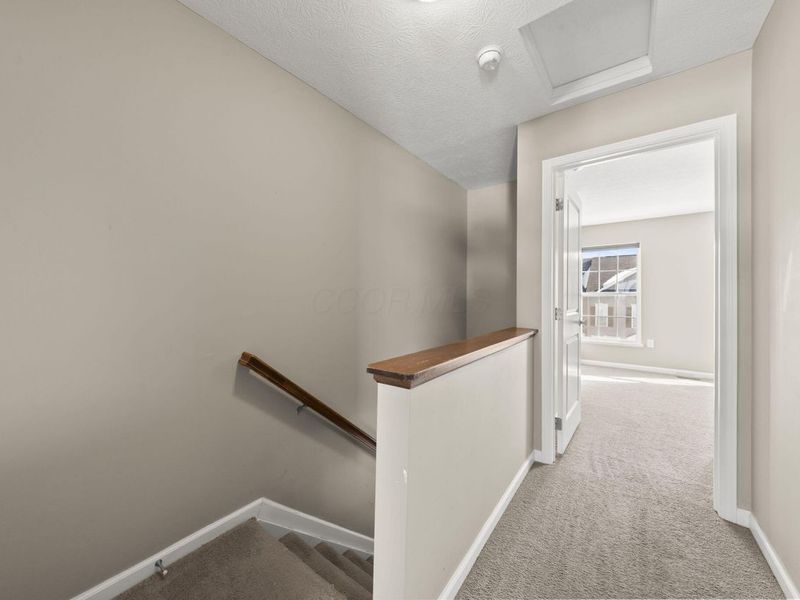 5309 Berthold Pass Drive, Dublin, OH 43016 Photo 16