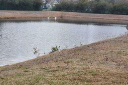 1356 Glenns Bay Rd.  photo 4