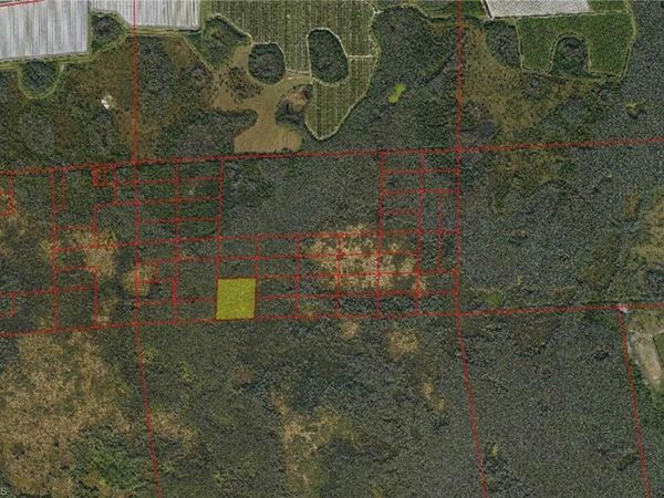 IMMOKALEE, FL 34142