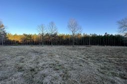 9207 County Line Rd. photo 4