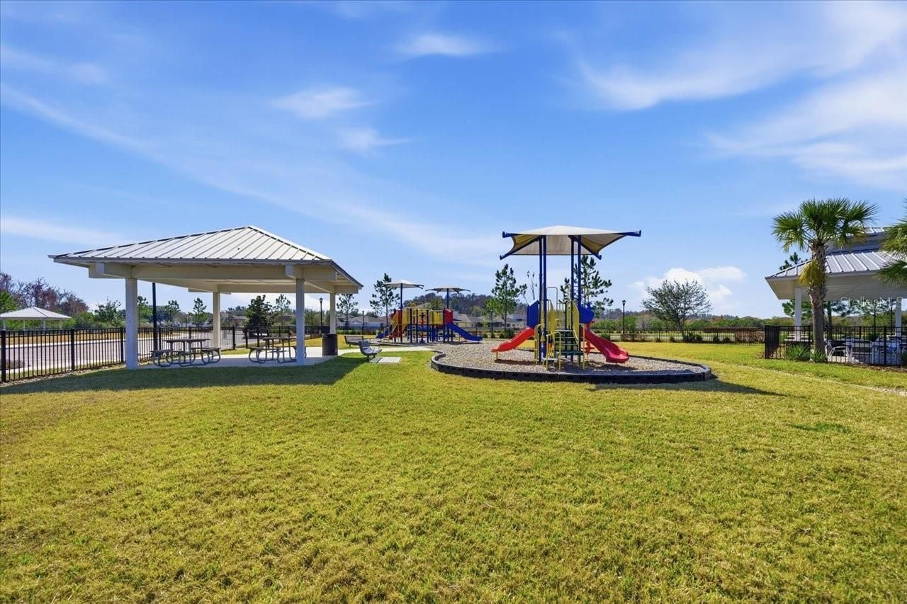 10591 Heron Hideaway Loop, Land O Lakes, FL 34638 Photo