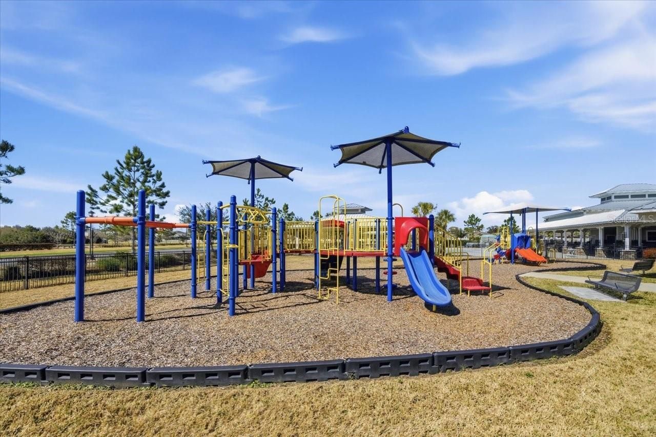 10591 Heron Hideaway Loop, Land O Lakes, FL 34638 Photo