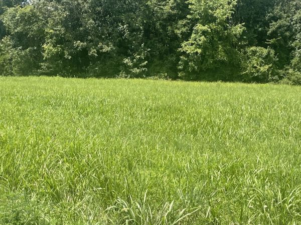 0 Summerlake Ct, Winchester, TN 37398