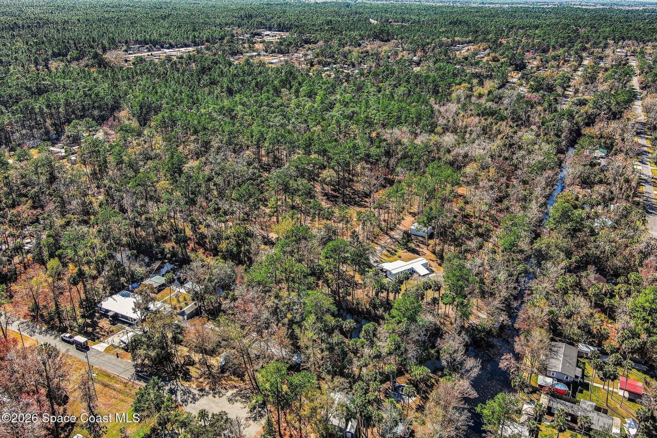 24421 Trespass Trail, Astor, FL 32102 Photo