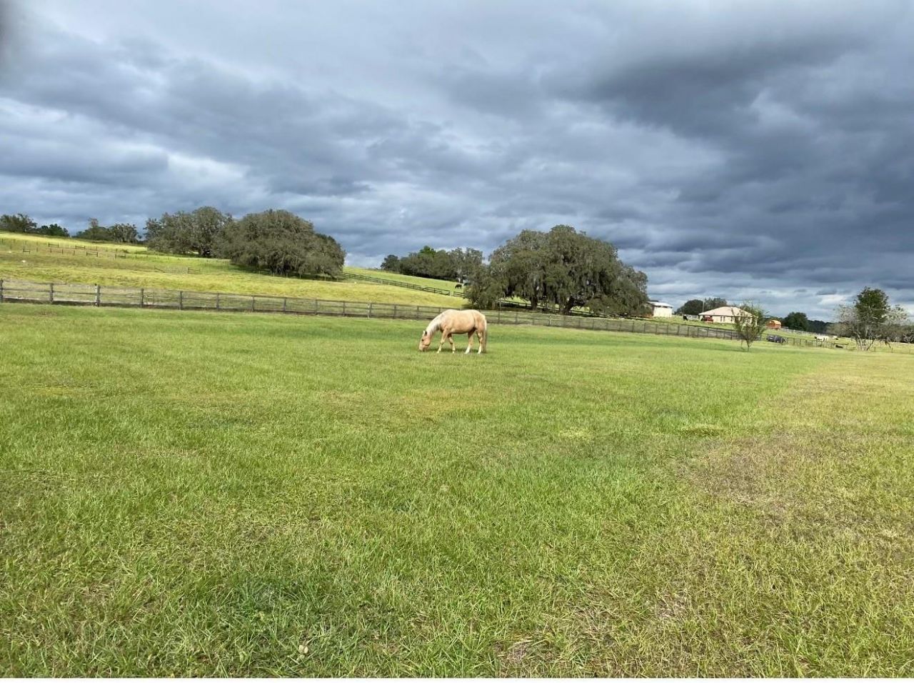 20832 Hunter Hill Drive, Dade City, FL 33523 Photo