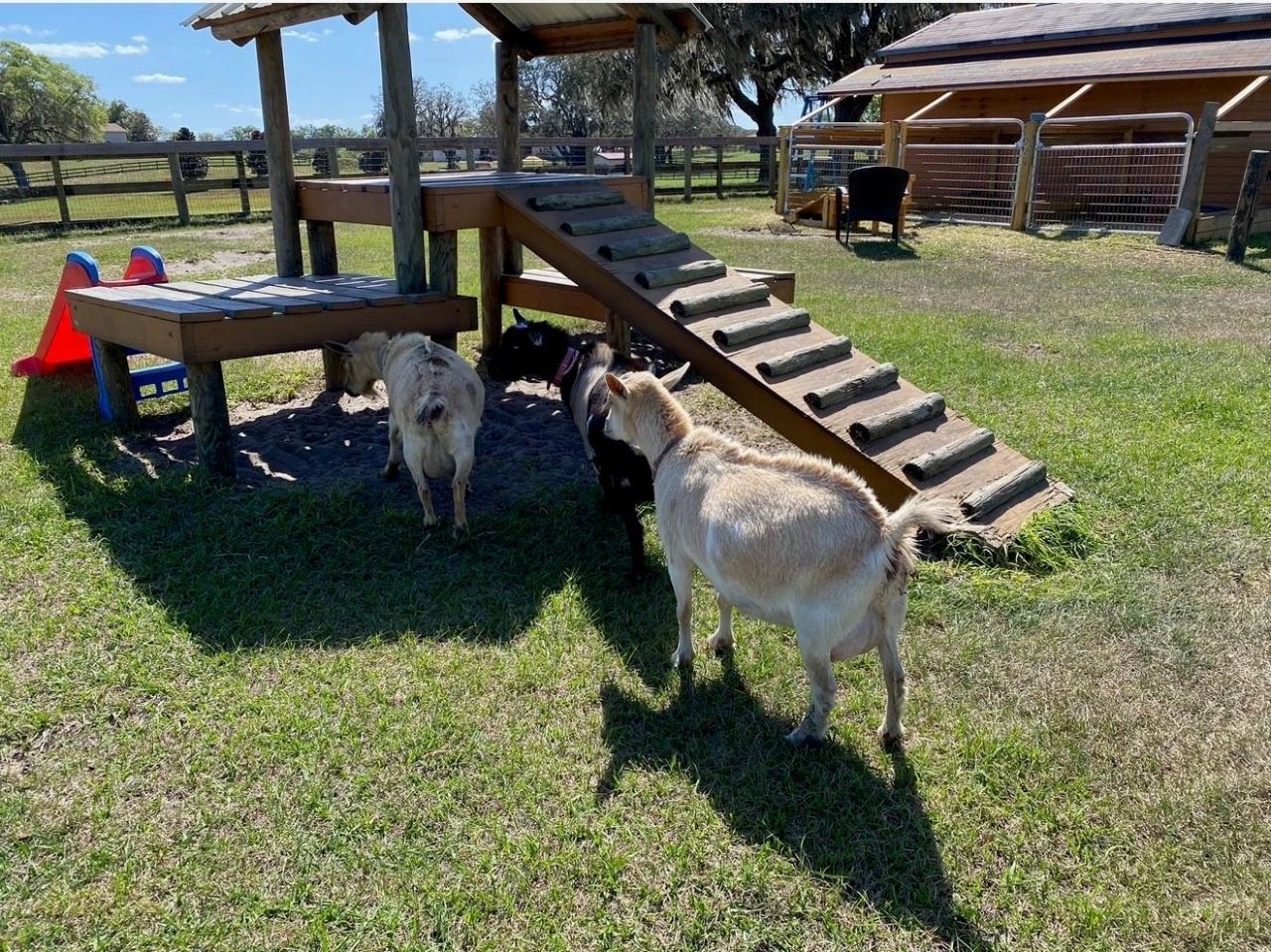 20832 Hunter Hill Drive, Dade City, FL 33523 Photo