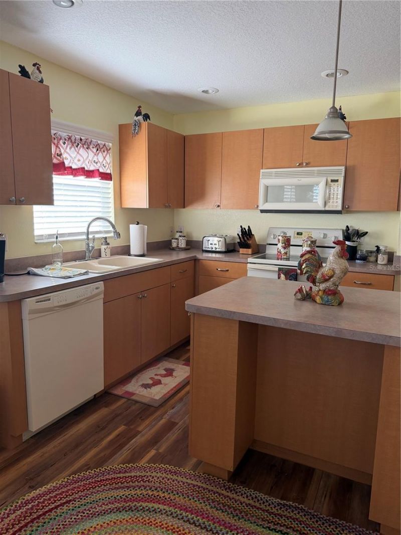 20832 Hunter Hill Drive, Dade City, FL 33523 Photo