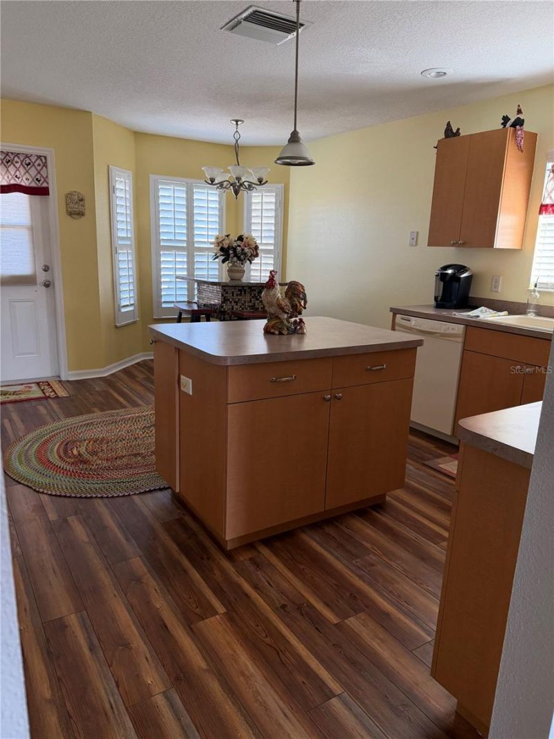 20832 Hunter Hill Drive, Dade City, FL 33523 Photo