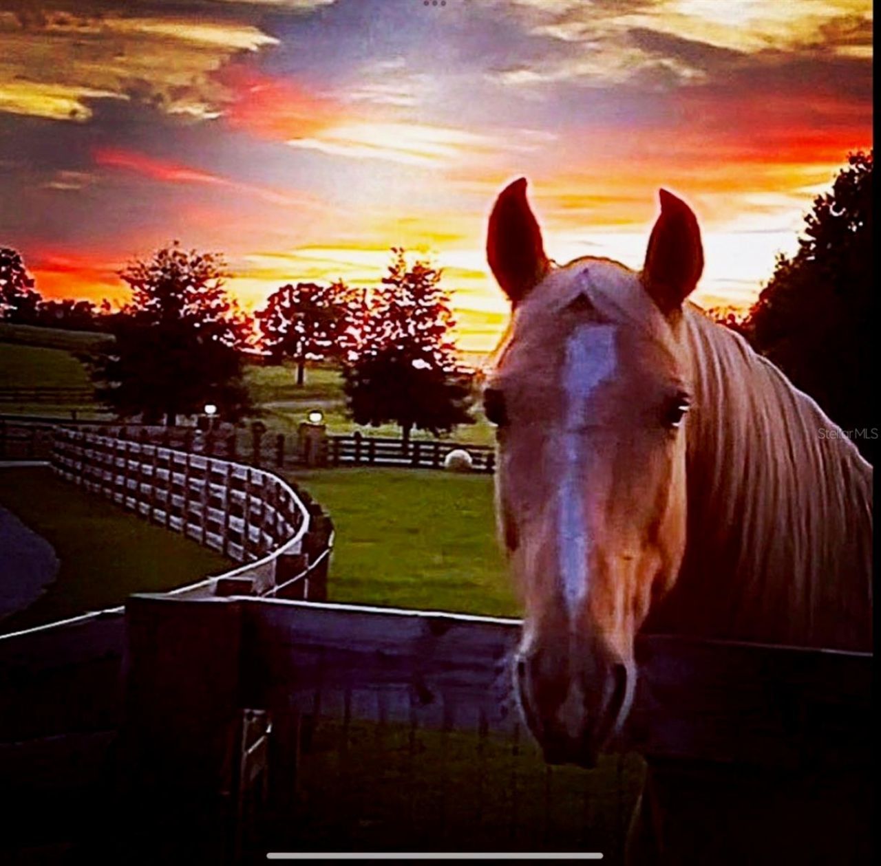 20832 Hunter Hill Drive, Dade City, FL 33523 Photo