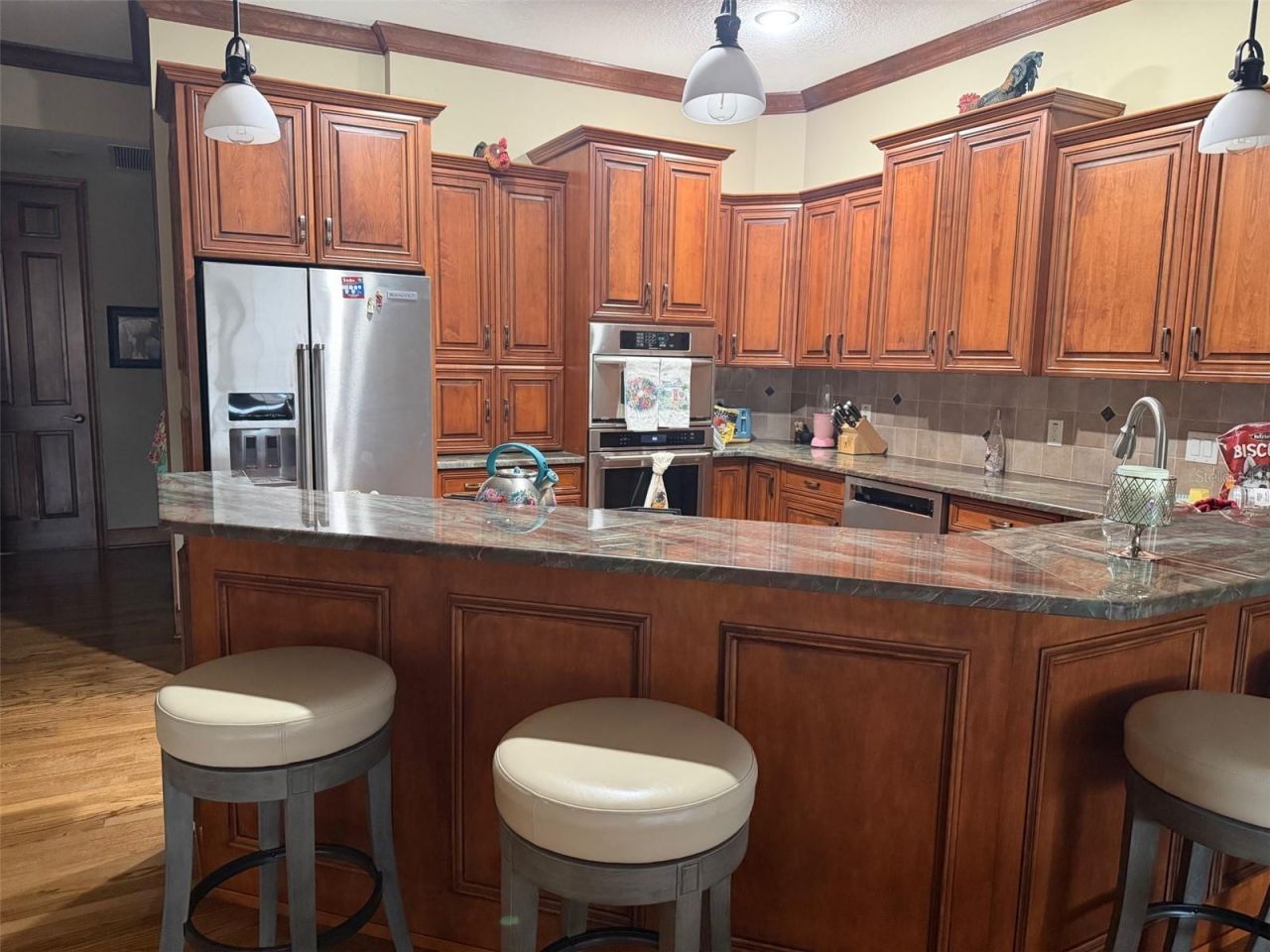 20832 Hunter Hill Drive, Dade City, FL 33523 Photo