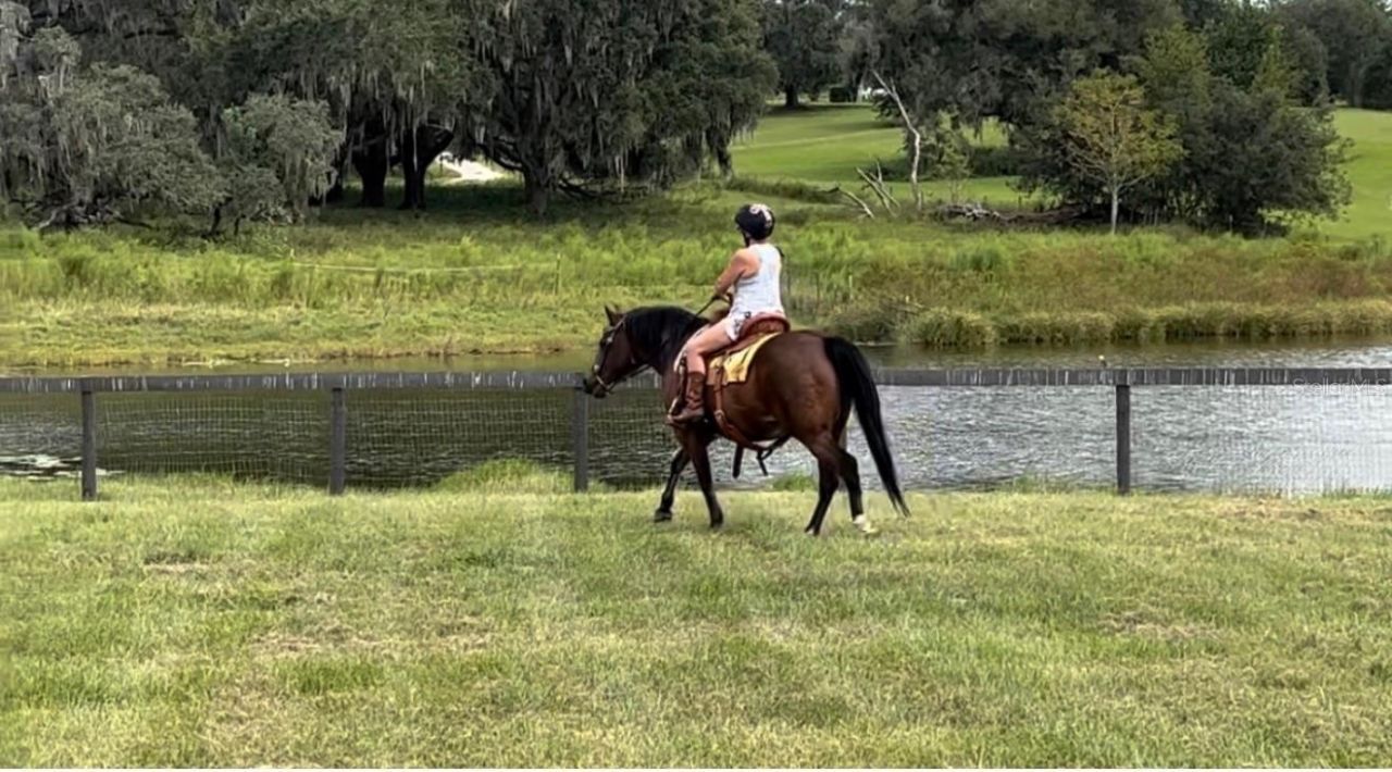 20832 Hunter Hill Drive, Dade City, FL 33523 Photo