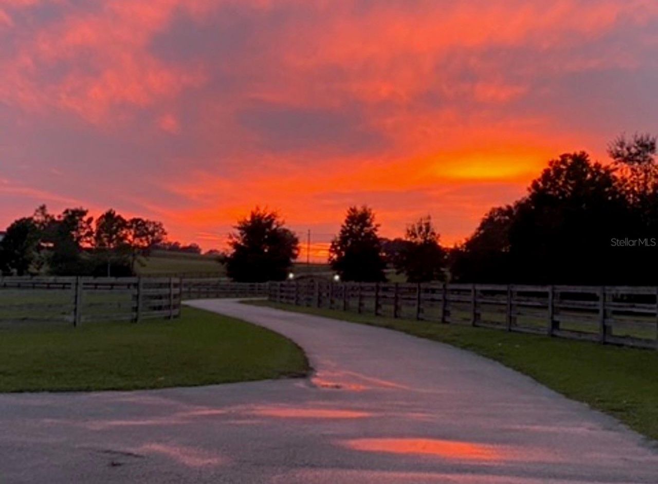 20832 Hunter Hill Drive, Dade City, FL 33523 Photo