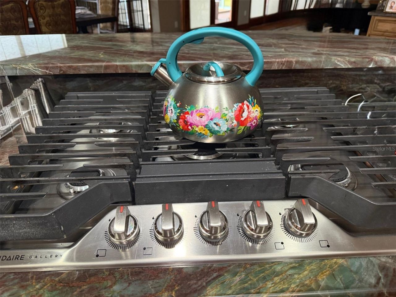 20832 Hunter Hill Drive, Dade City, FL 33523 Photo