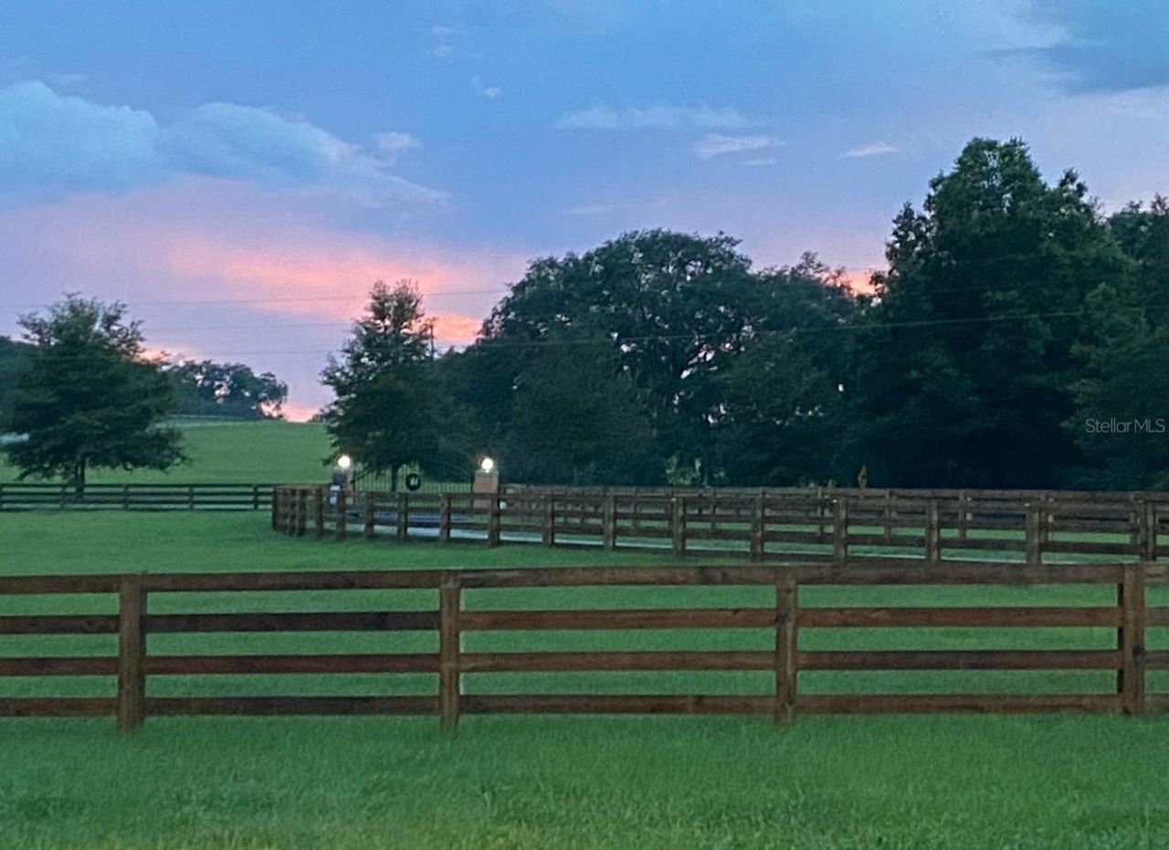 20832 Hunter Hill Drive, Dade City, FL 33523 Photo