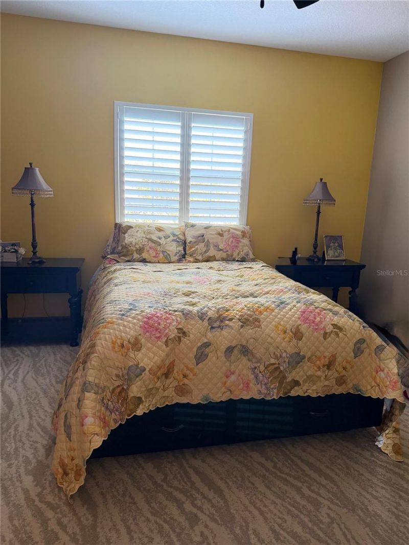 20832 Hunter Hill Drive, Dade City, FL 33523 Photo