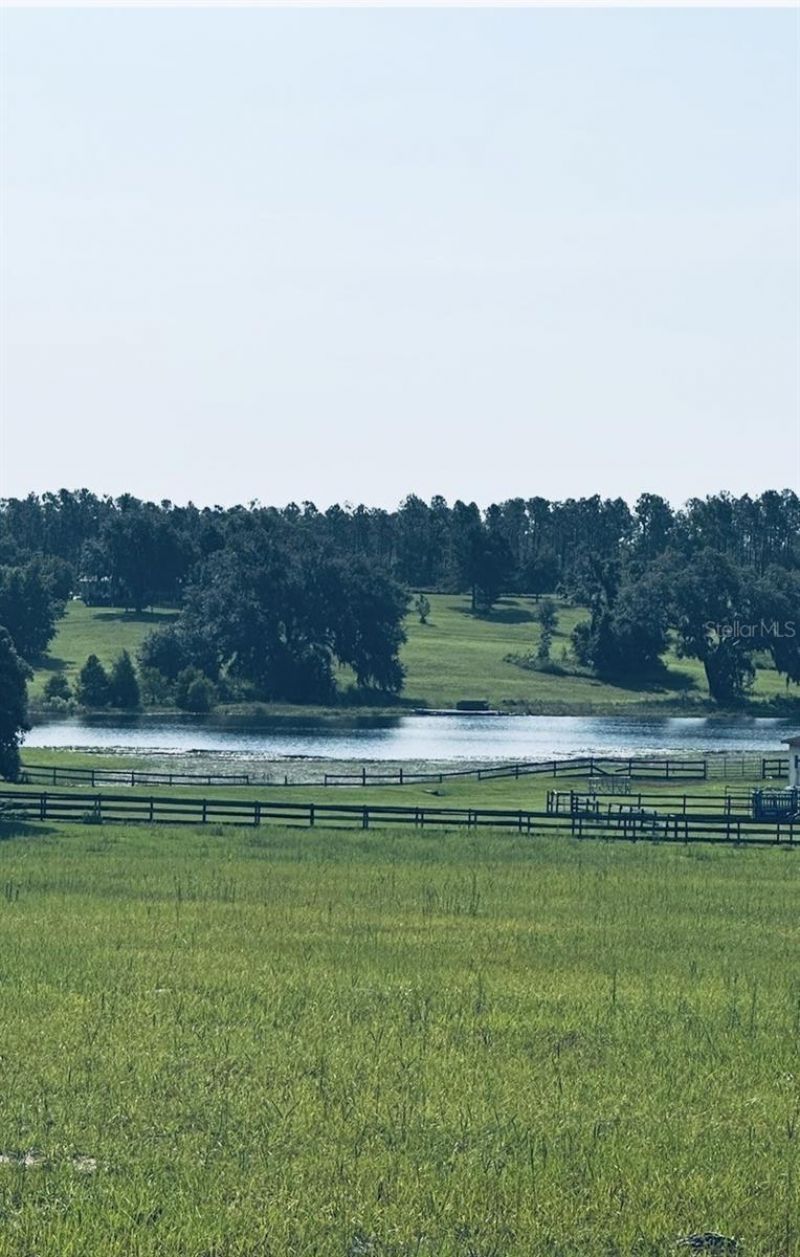 20832 Hunter Hill Drive, Dade City, FL 33523 Photo