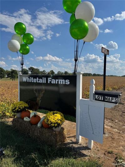 998 Josephville Lot #5, Wentzville, MO 63385 Main Photo