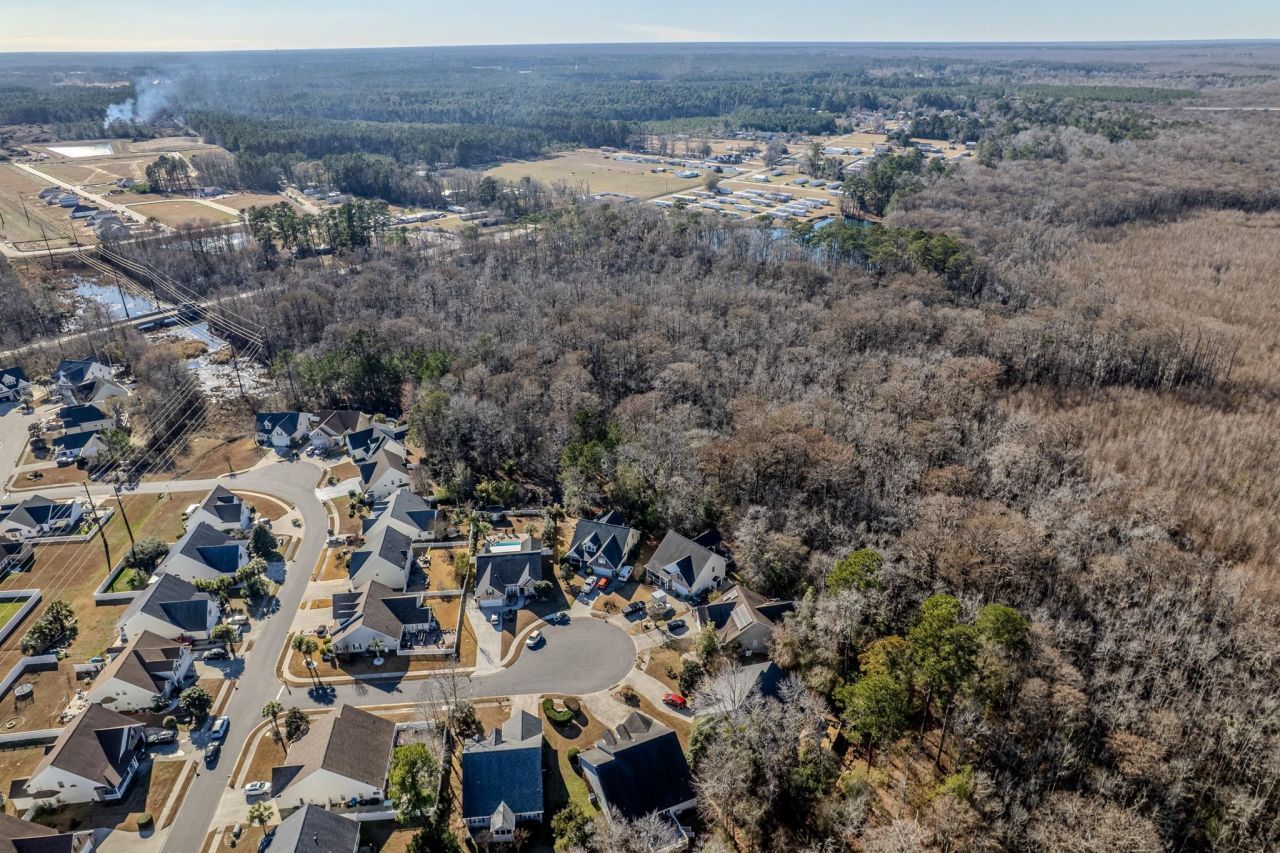 513 June Bug Ct.  Photo 49