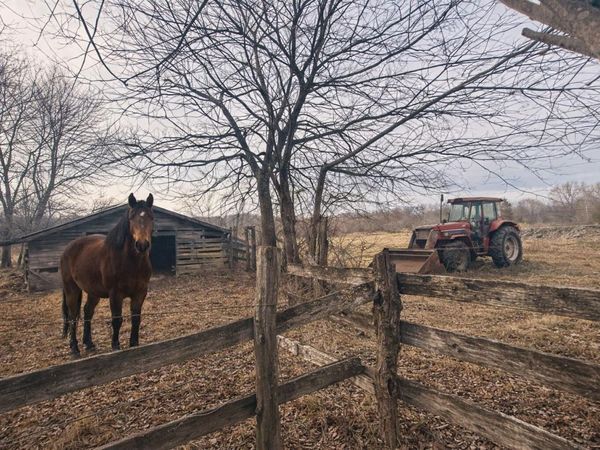 0 County Road 800, Flat Rock, AL 35966