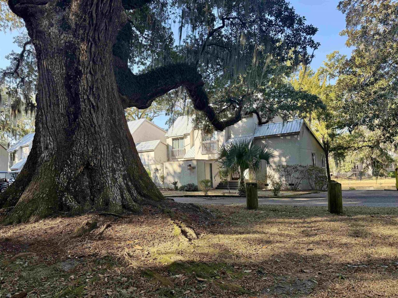 63 Battery White Ct. Photo 16