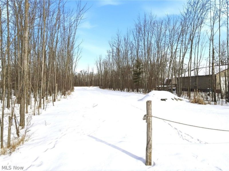 32420 Schwartz Road, Avon, OH 44011 Photo 5